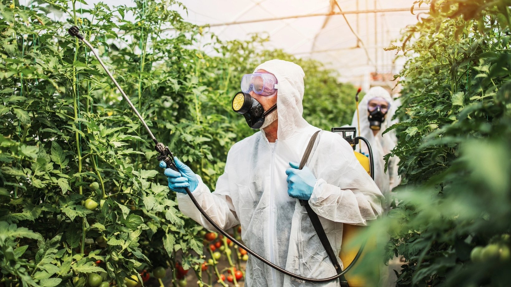 Understanding Chemical Contamination in Food