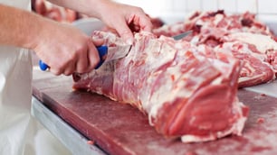 Parasites in Food: Top Sources of Parasitic Infections