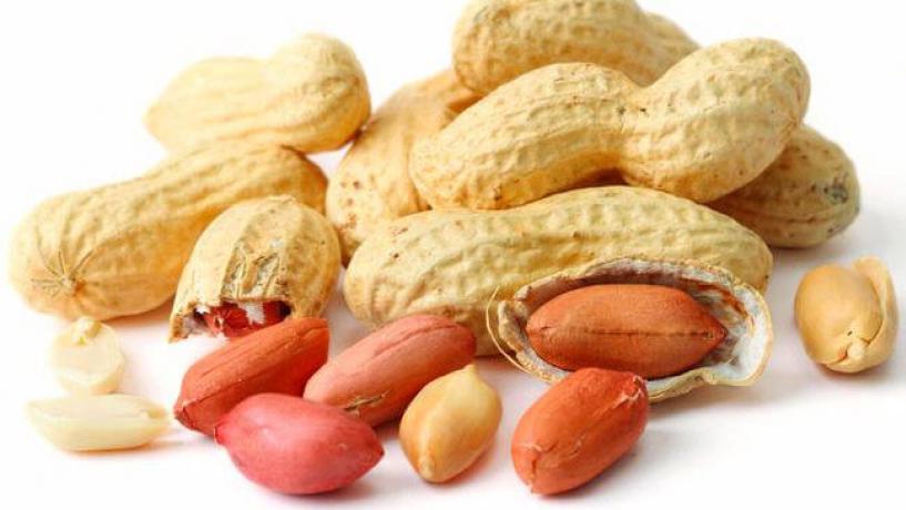 Could Oral Therapy Potentially Cure Peanut Allergies?