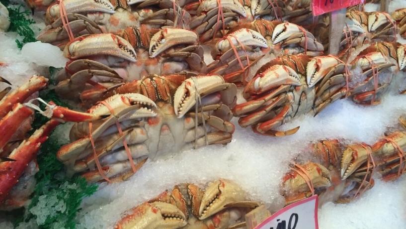 Making Sure Your Seafood Is Safe to Eat From Distributor to Table