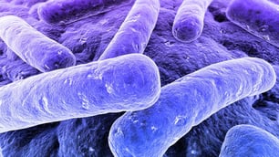 Dormant Vibrio Poses Concerns for Food Safety
