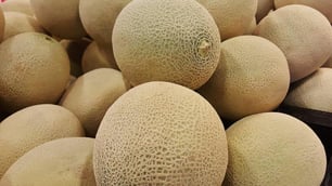 Food Safety Practices for Rockmelon Growers
