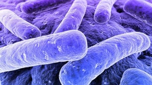 Top 10 Costliest Foodborne Pathogens