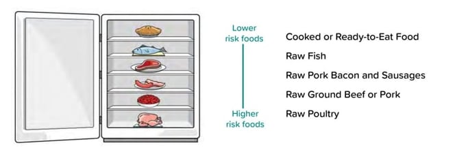 foods_in_fridge_0-2_resized-min