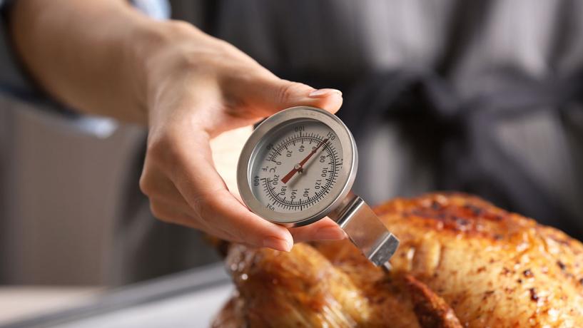 Meat Thermometer Chicken Temp